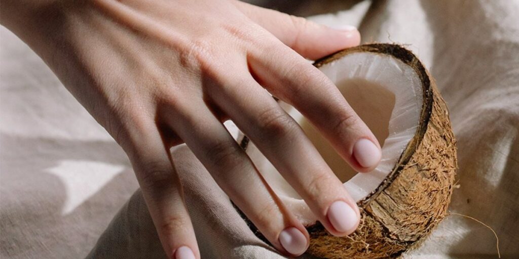 Hand holding a coconut slice, illustrating how coconut oil benefits hair.