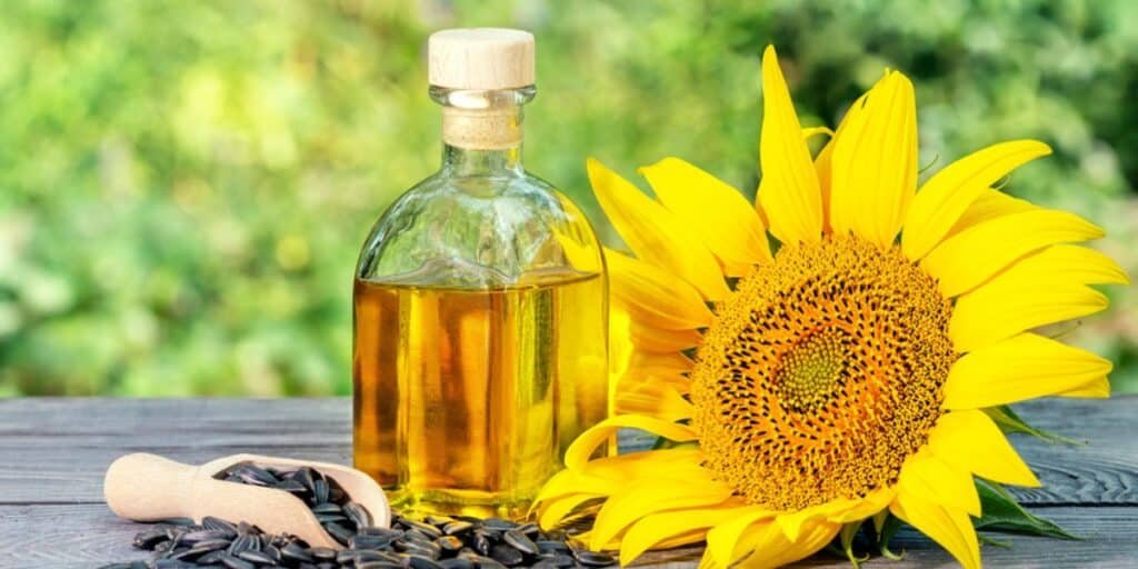 Sunflower oil in a glass bottle next to a sunflower.